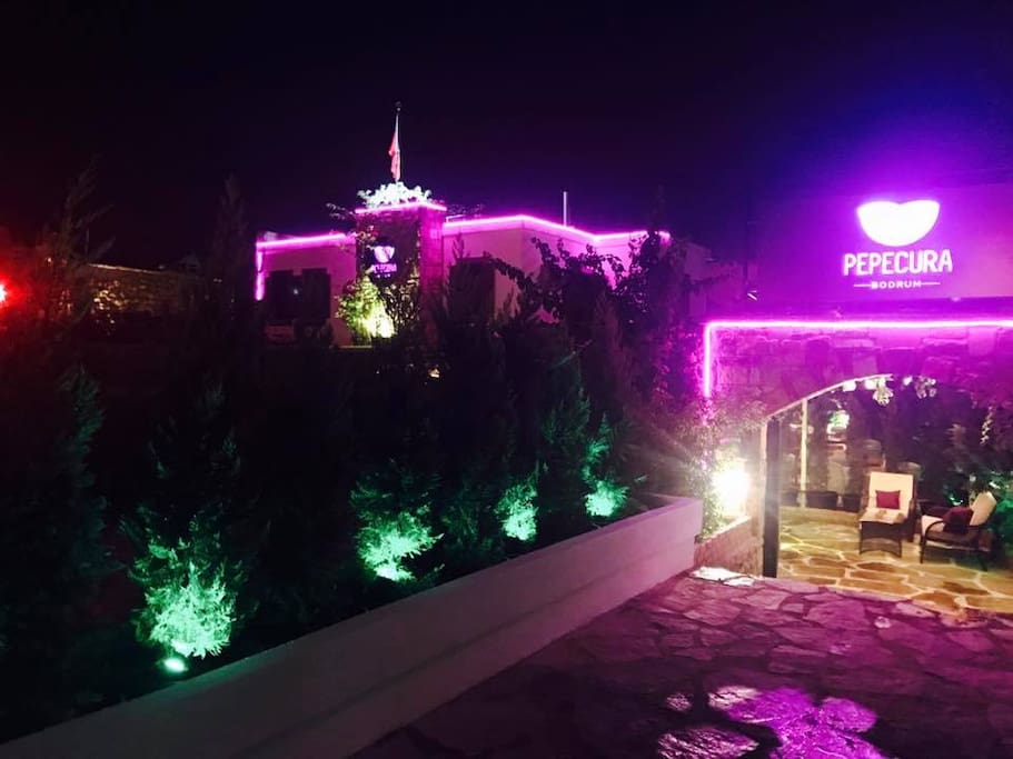 Bodrum un merkezinde cennet bahcesi