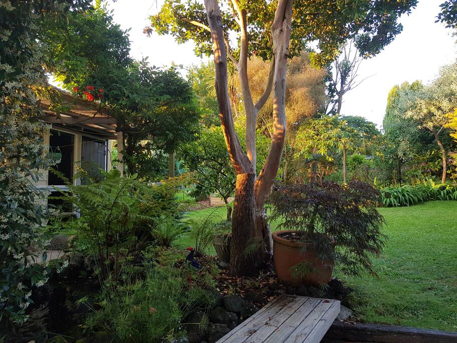 evening at Rose Villa