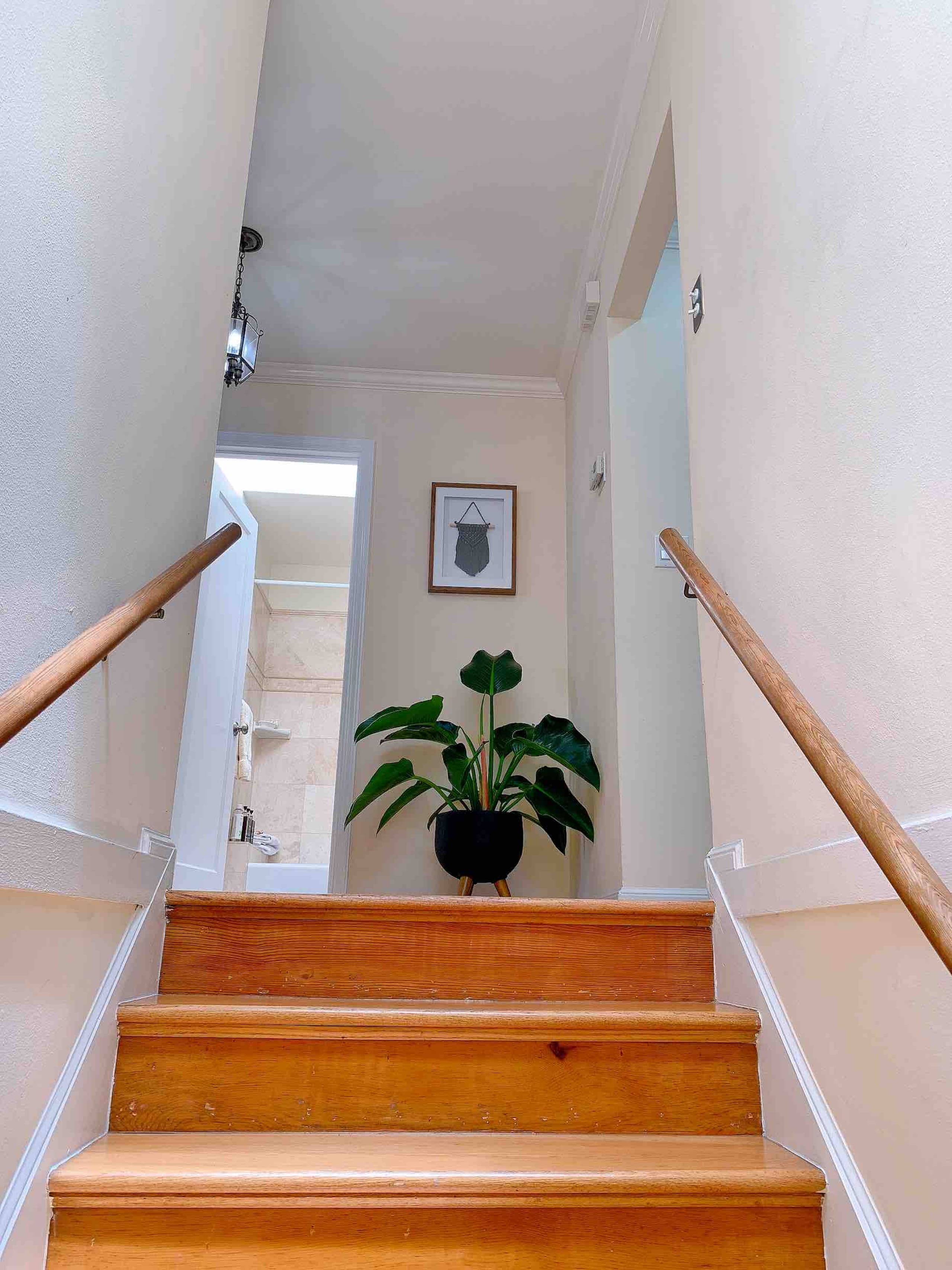 Home in San Francisco · ★4.96 · 3 bedrooms · 4 beds · 1.5 baths - Image 23