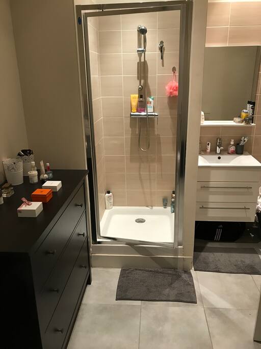 Salle de bain. Douche, lavabo, WC.