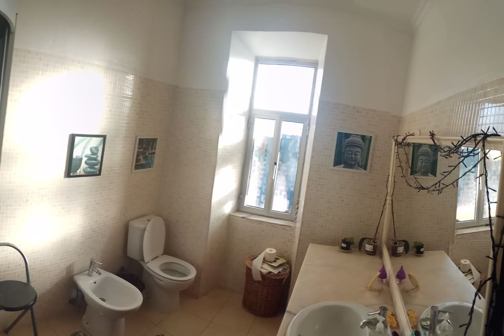 Zen toilet. Wicked shower with radio, hidromassage, and some Zen lights. Super sunny!