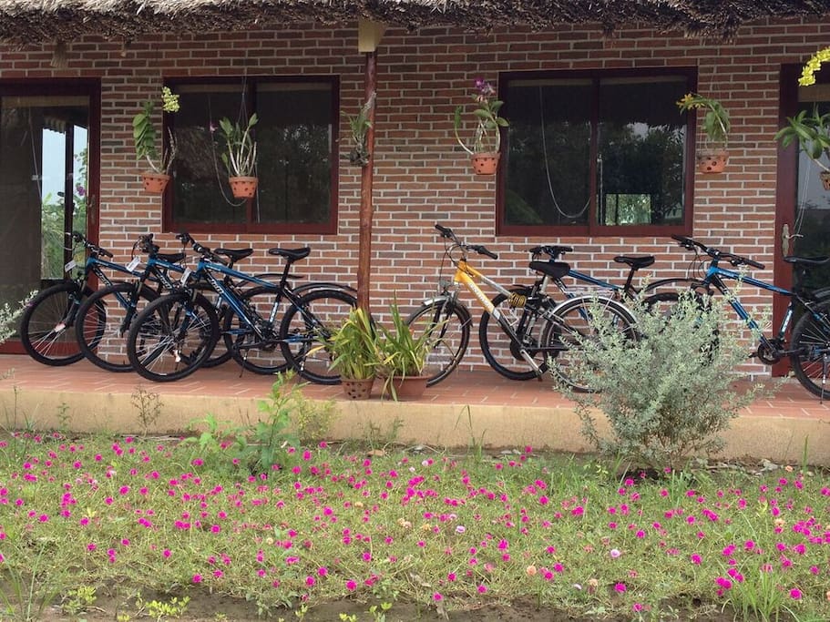 Mountain bikes for our guests
