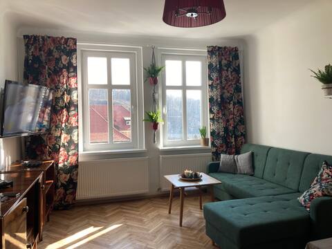 Apartment Stara Kamienica 1930r.