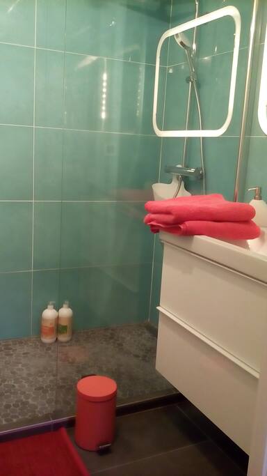 Salle de bain