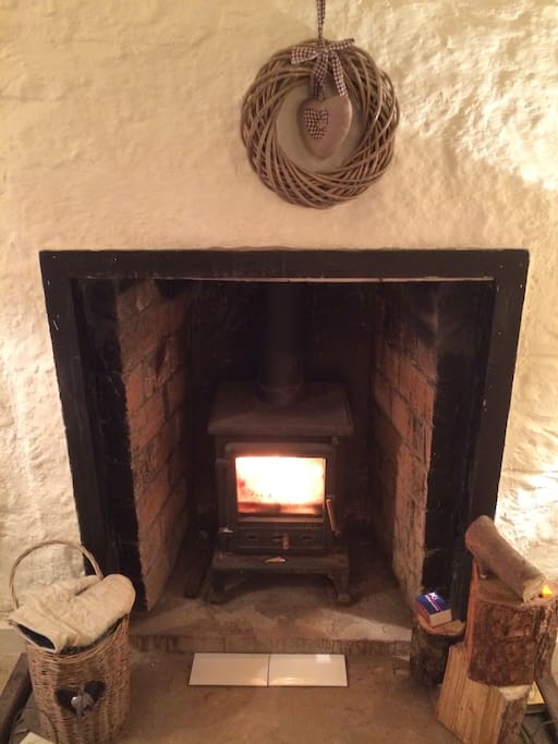 Cosy wood burner