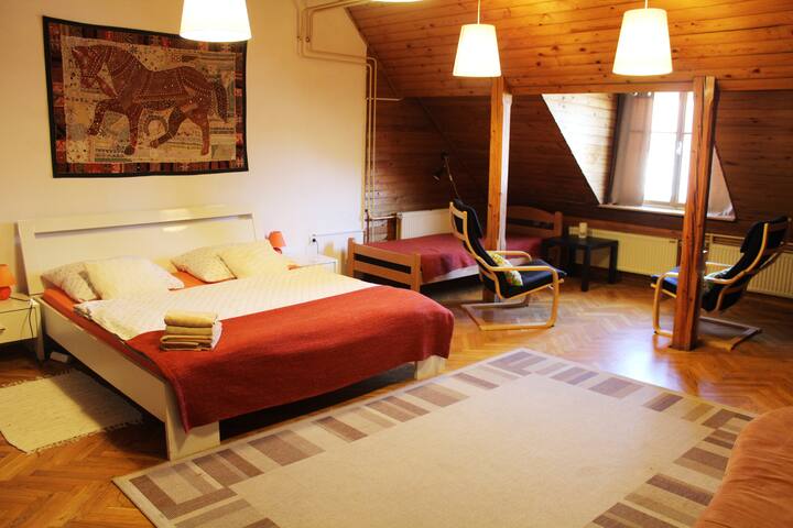 VIKSI Nomad. Very Center / view of the Castle#2