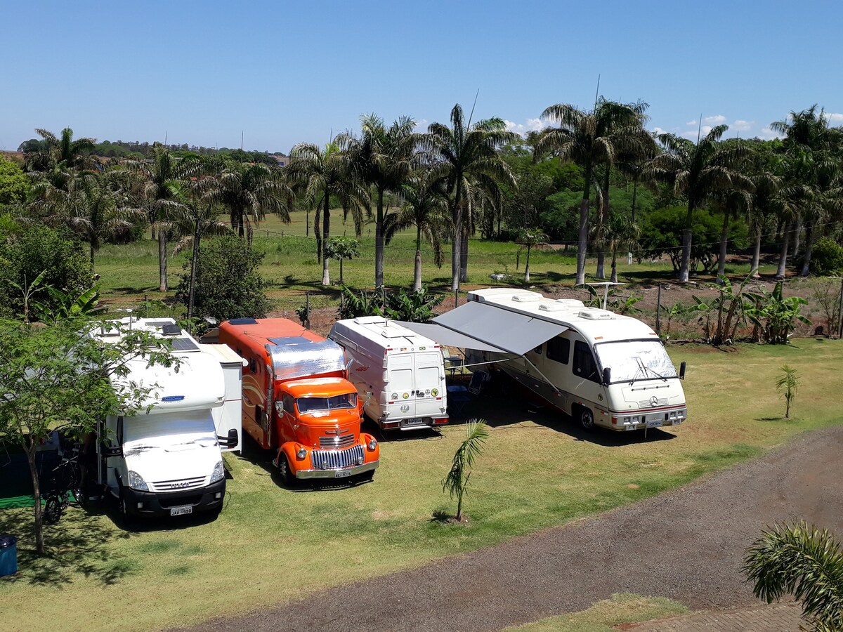 Multiple motorhomes are observed parked on a grassy area, surrounded by lush palm trees and open fields. The vibrant orange vehicle stands out among the other white and silver motorhomes, showcasing ample outdoor space suited for relaxation.