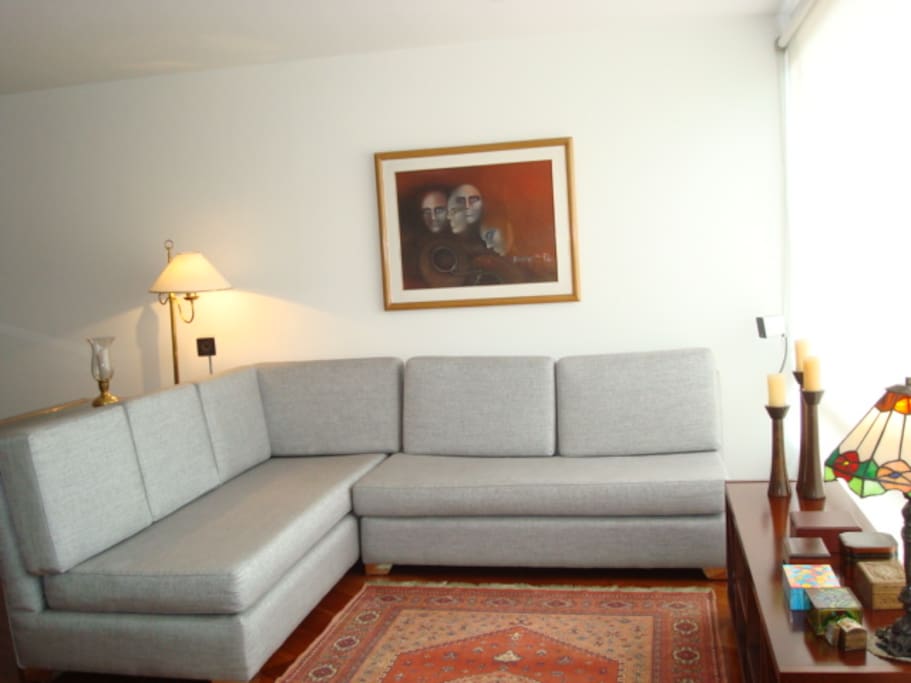The apartment is finely furnished and composed of a bright and open living/dining space