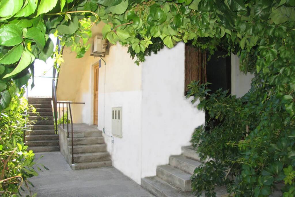 Yard
