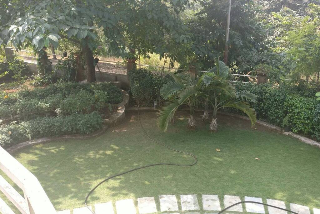 Front lawn