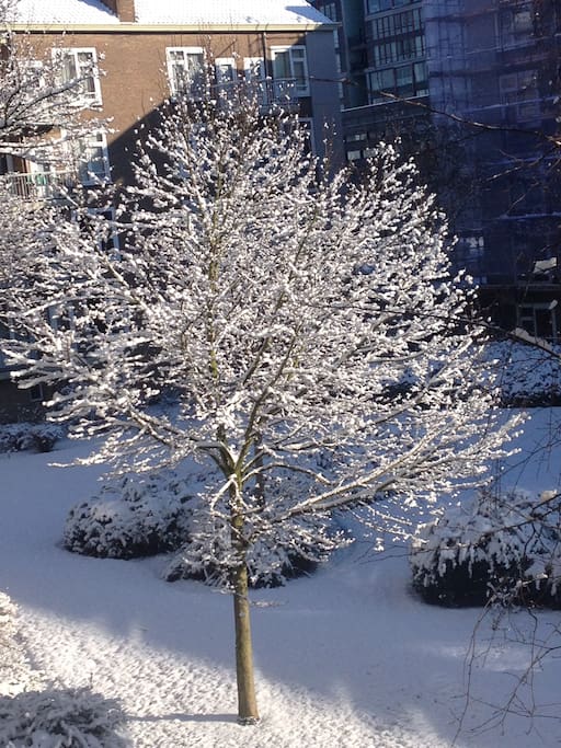 Winter