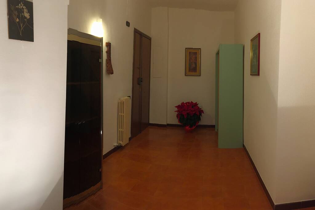 Ingresso