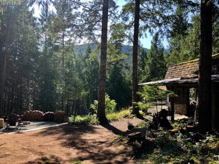 Shawnigan Lake Vacation Rentals & Homes British Columbia, Canada Airbnb