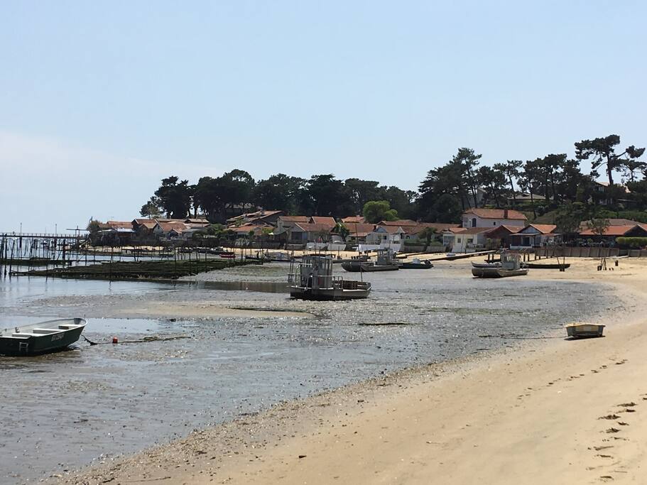 Le bassin à marée basse