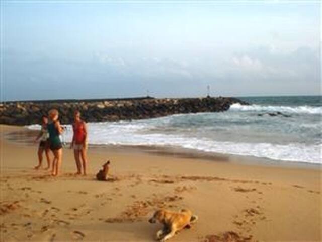 Watch Voyage Autour D`Une Etoile HIGH Quality Definitons Watch Voyage Autour D`Une Etoile HIGH Quality Definitons