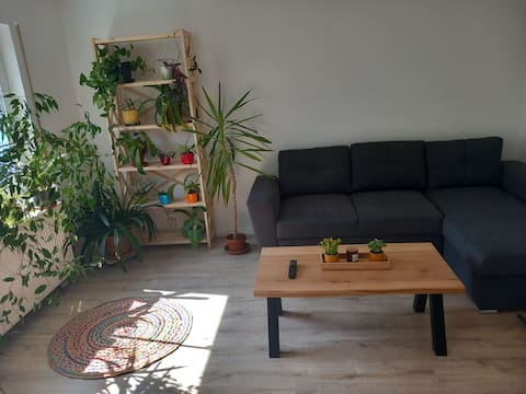 Beliebte Airbnb-Anzeige: Casa del Sol, Leipzig in Wahren