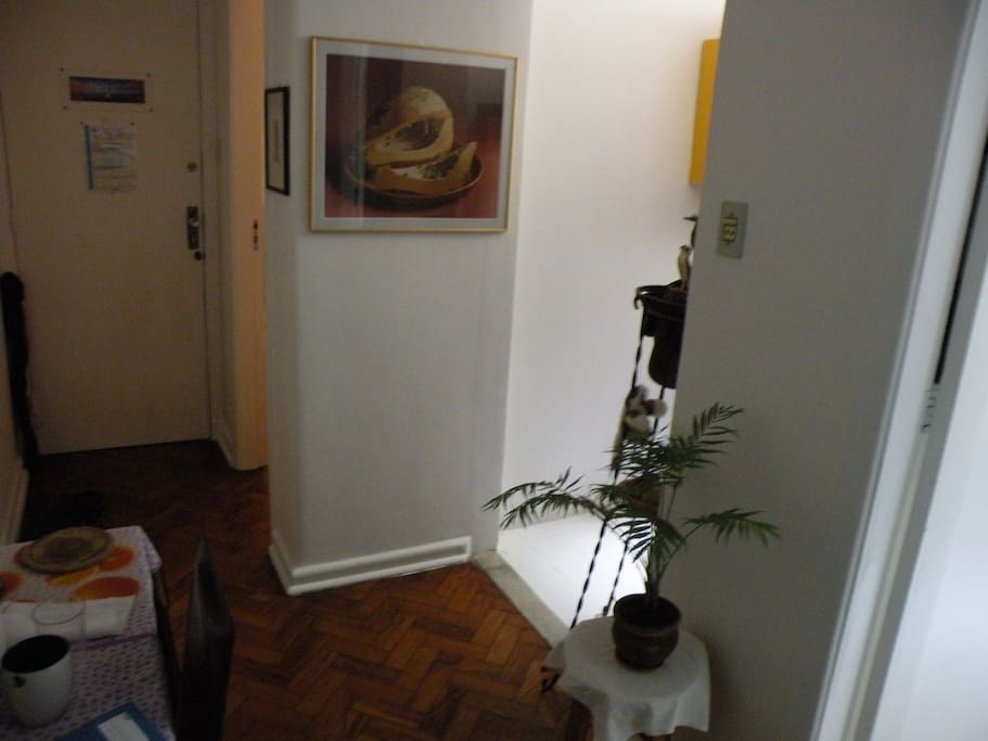 a sala com a entrada da cozinha banhada de luz natural