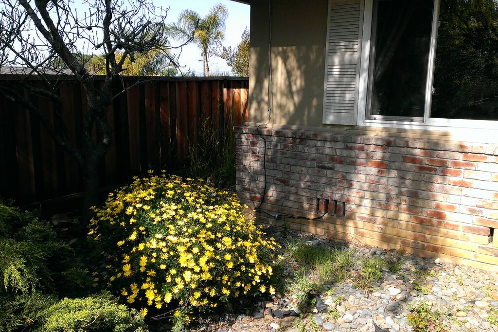 picture of the front of the house