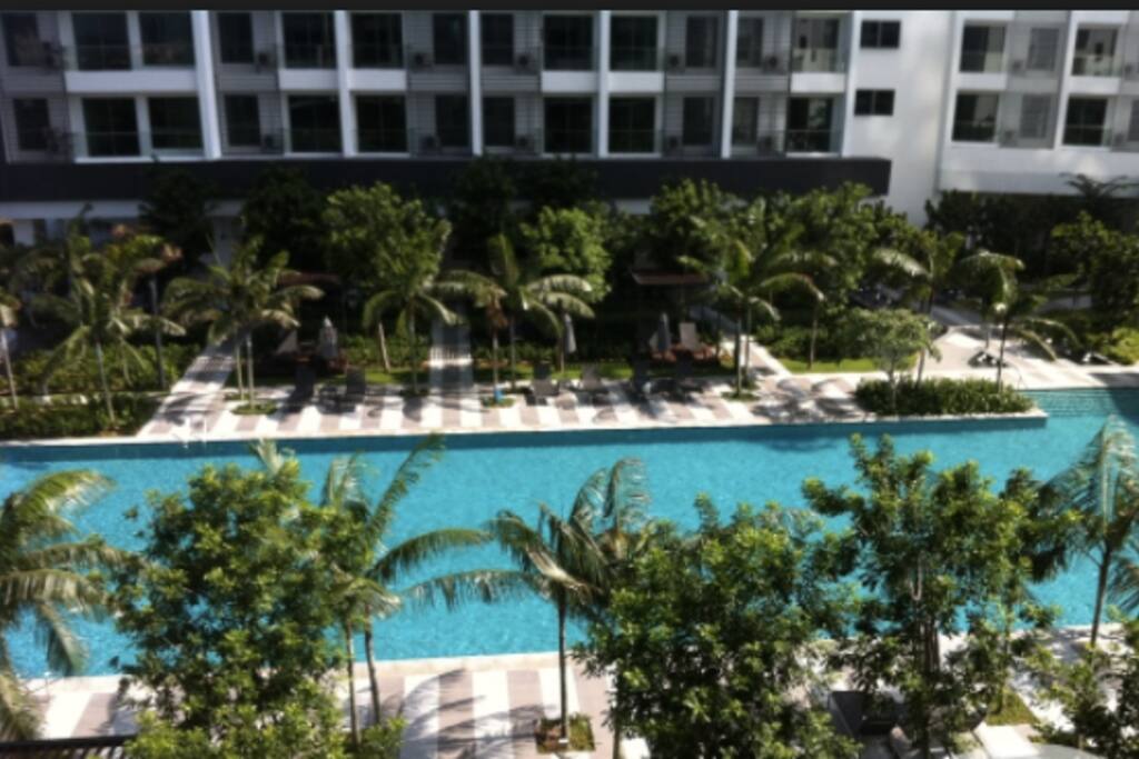 Pool view from the unit