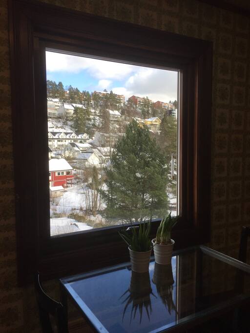 Kitchentable and view