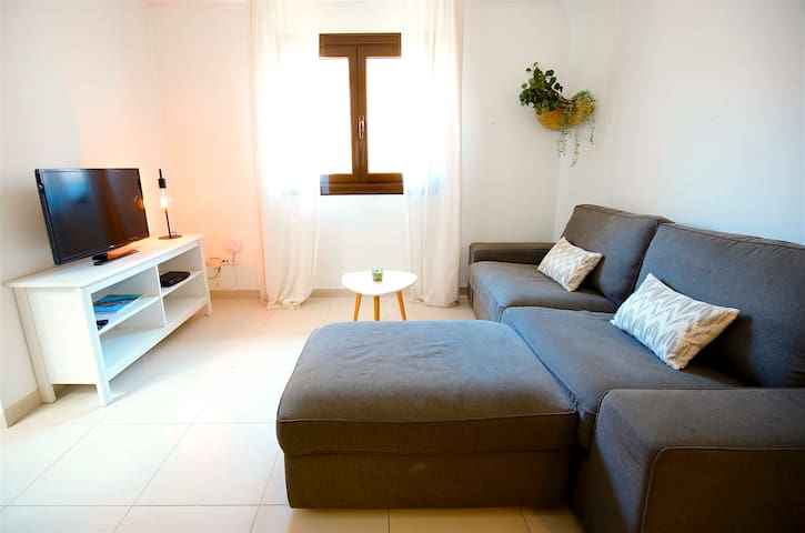 Centro de Palma junto a la Catedral – La Lonja Hom