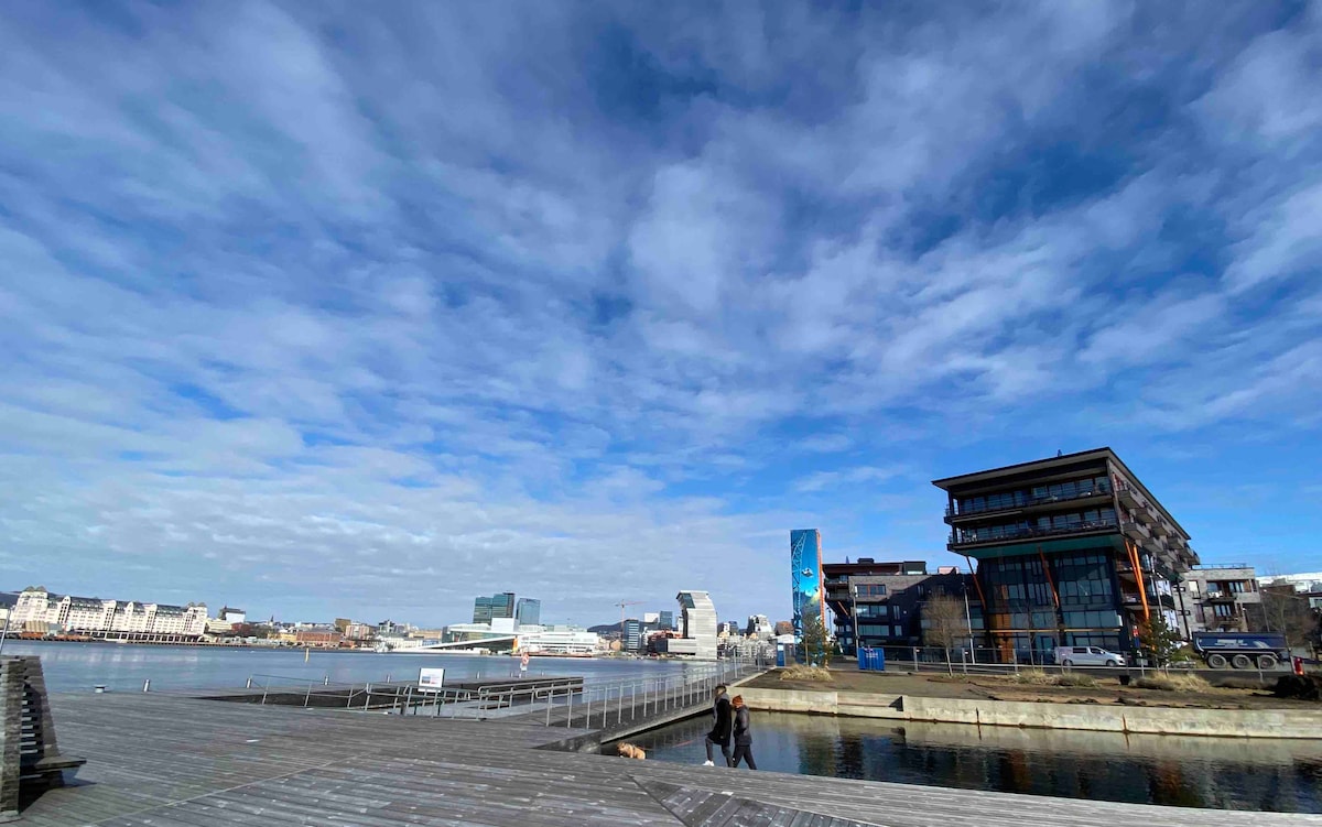 A waterfront view showcases a broad wooden dock extending into the fjord. The sky is partly cloudy, with patches of blue visible. Modern buildings line the shore, reflecting an urban atmosphere. A person is seen walking along the dock, emphasizing the scenic environment.