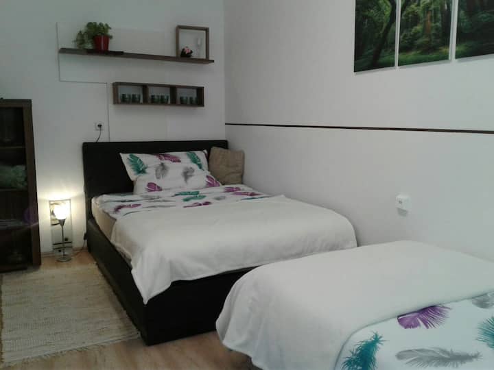 Apartment Steyr central- 1 Pers. 45,- 2 Pers. 90,-