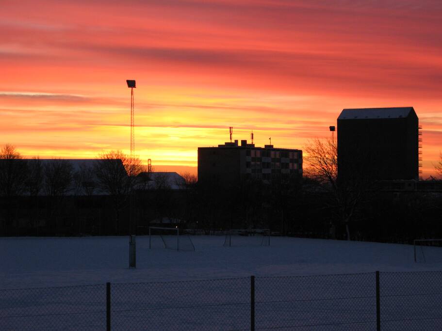 Udsigt til Århus Universitet