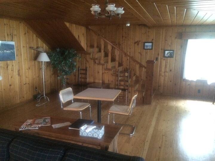 knotty pine cottage - houses for rent in au gres, michigan