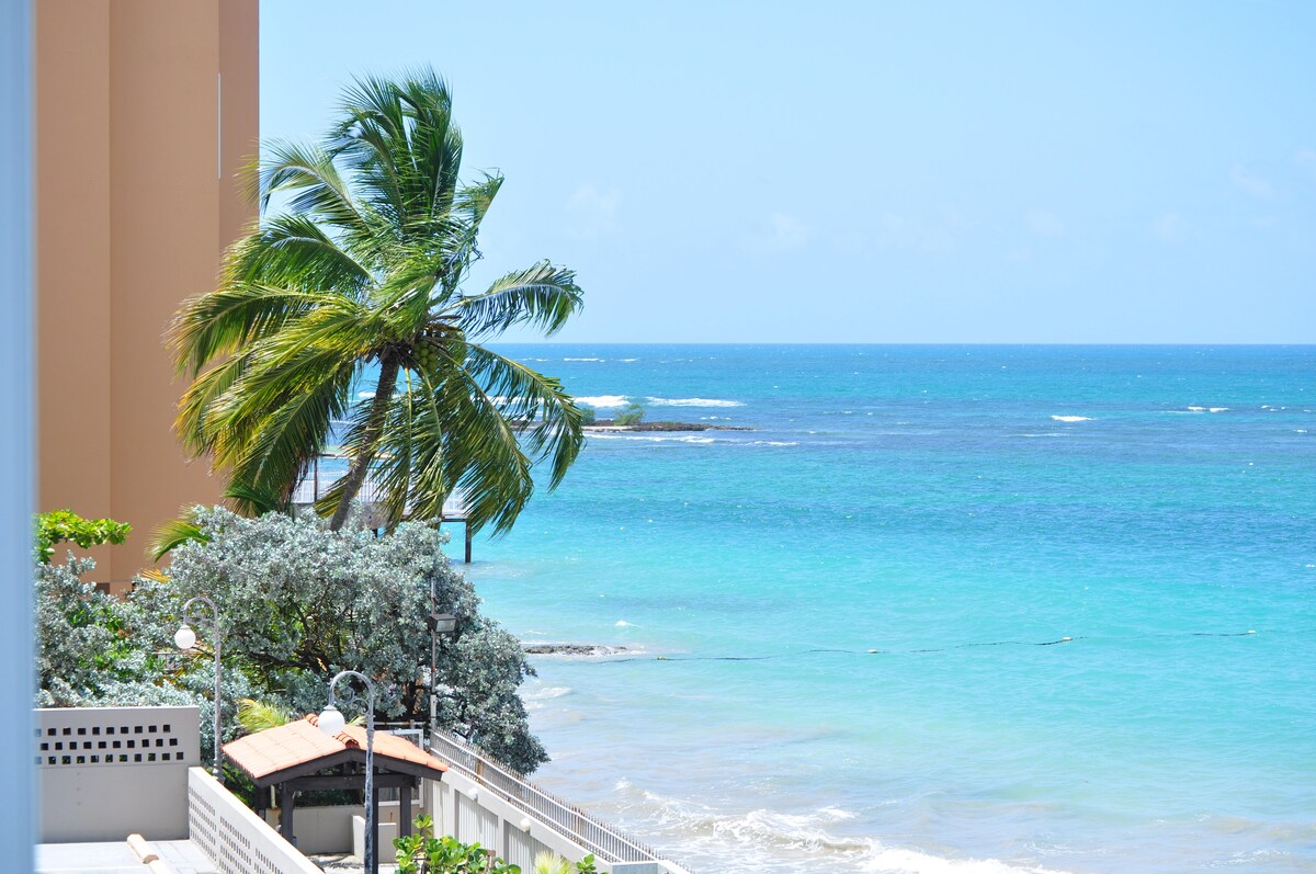 A panoramic view of the ocean is presented, featuring vibrant blue waters and gentle waves. Lush palm trees sway in the breeze, while a glimpse of the shoreline and smooth rocks is visible. The sky is clear and bright, enhancing the coastal atmosphere.