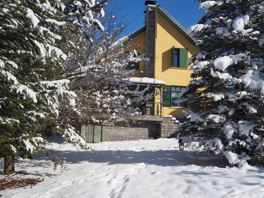 Sarı Ev Kartalkaya Kındıra Köyü şehrinde Kiralık Dağ Evleri, Bolu