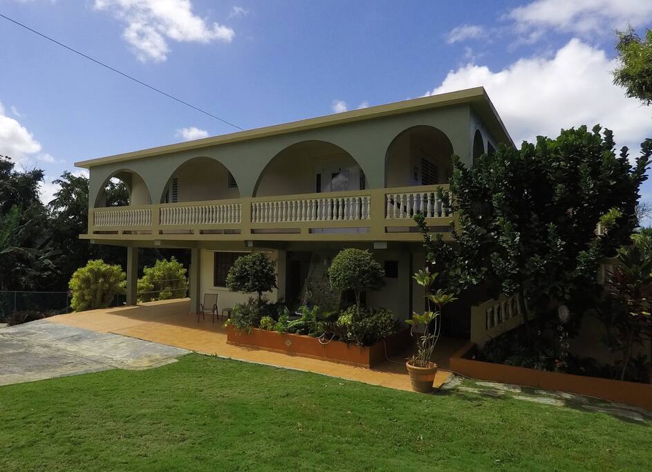 Side View
