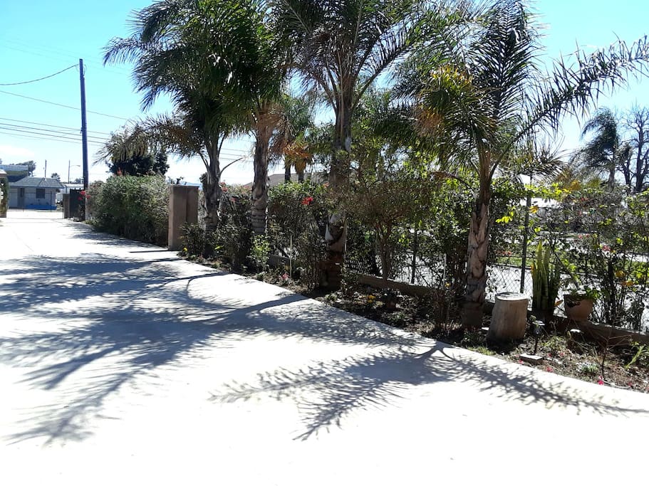 Long Driveway