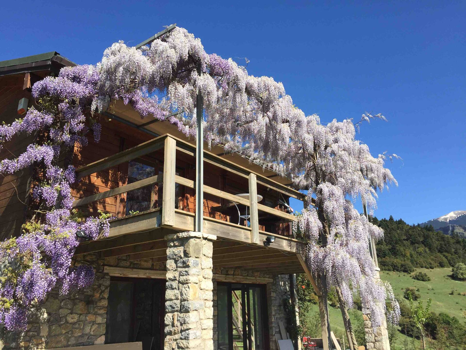 Luxury Chalet Villa on Mountain Top, Kalavryta — photo 4