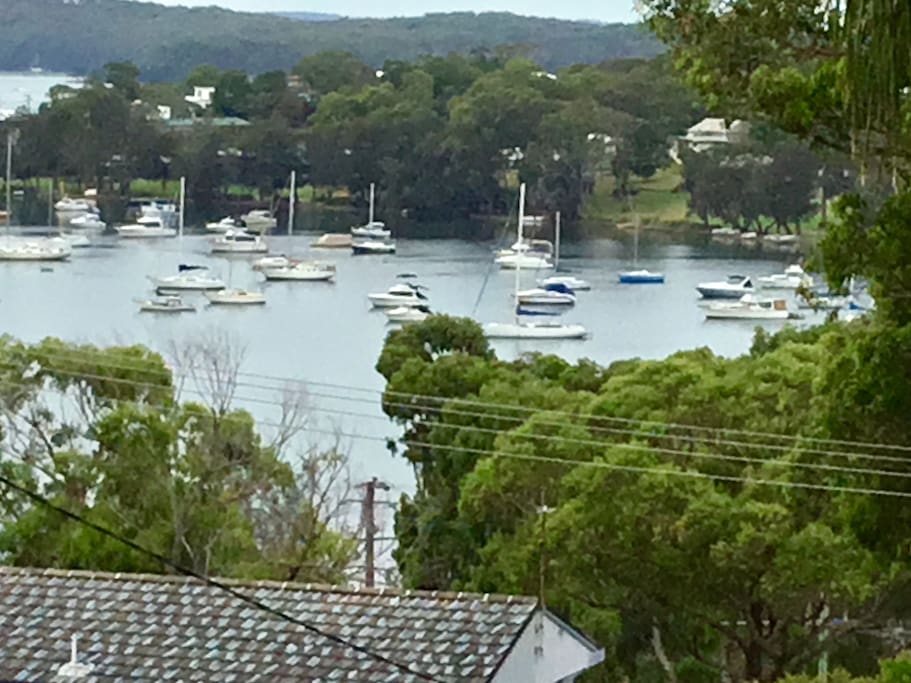 View of Lake Macquarie from front garden. Not quite this close though.