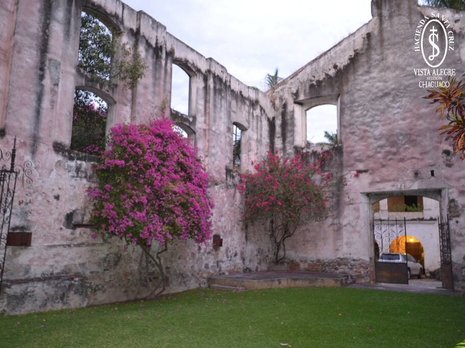 Jardín