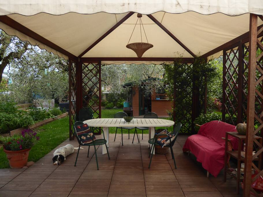 il gazebo e gli olivi