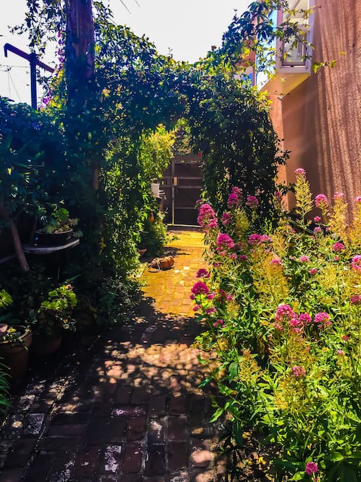 Path to the Garden Patio, Cottage