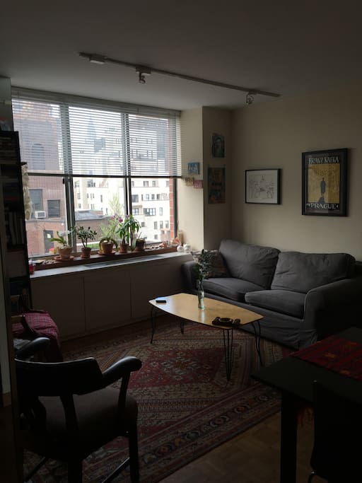 The living room