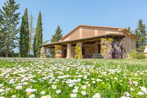 Popular Airbnb listing: Apartment (Girasole 6+1) Volterra, San Gimignano, Pisa in Peccioli