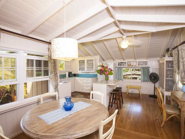 Hanalei Cottage A/C across from HanaleiBay TVR1091 gallery image 5