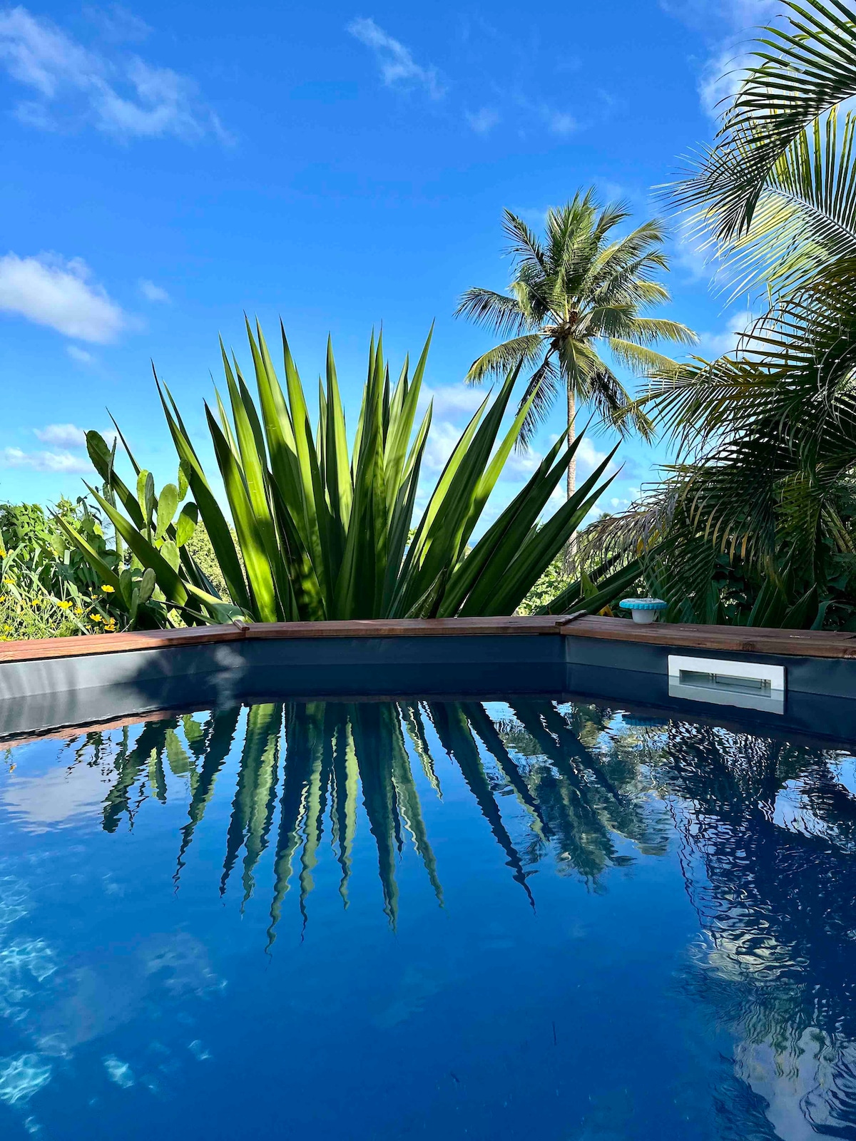 A private pool reflects the vibrant blue sky and surrounding tropical vegetation. Lush green plants, including tall palm trees, provide a serene backdrop, creating an inviting atmosphere for relaxation.