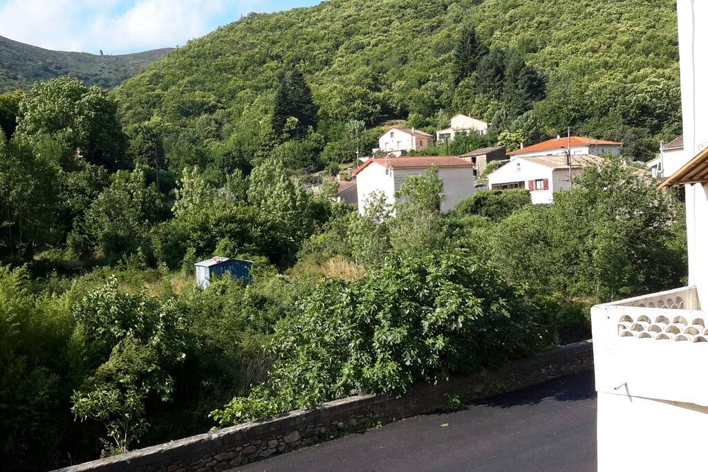 View from the bedroom window
