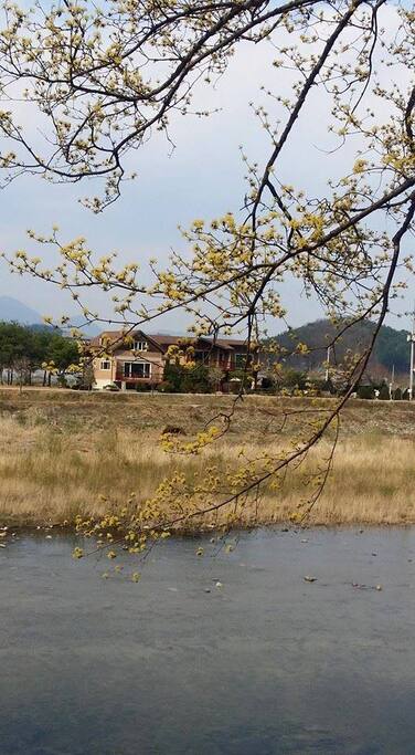The place across from the stream