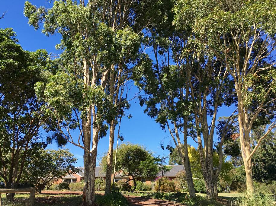 Entry to panoramic Otway views