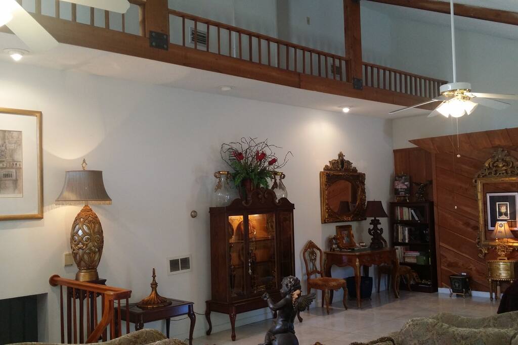 Lavish family room
