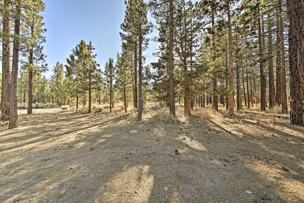 Situated across the street from 80+ acres of woodland, this home offers easy access to hiking in the summer and sledding in the winter.