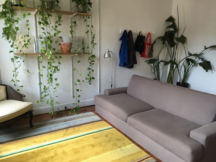 Nice comfy couch for relaxing!