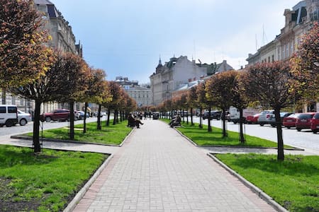 Уютная квартира в самом центре города Львов
