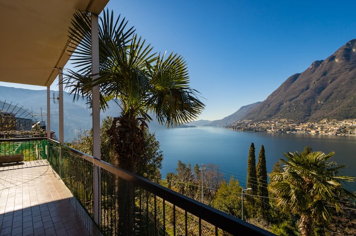 The Palm Stunning View On Lake Como 6 Pax Apartments For Rent In Pognana Lario Lombardia Italy